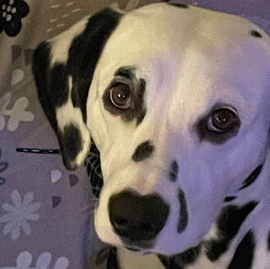 Meet your Posher, Kathleen